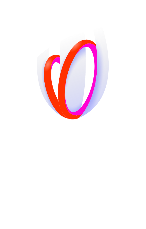 RUGBY WORLD CUP FRANCE 2023 OFFICIAL PRODUCT